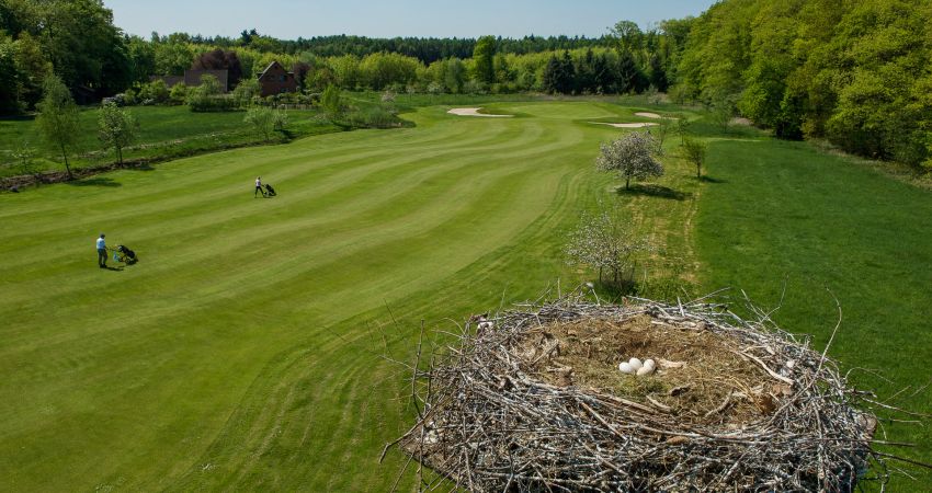 Golfplatz Vechta im Oldenburger Münsterland