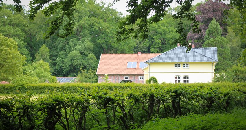 Staatsforst Herrenholz im Oldenburger Münsterland