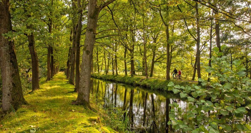 Burgwald Dinklage