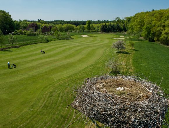 Golfplatz Vechta im Oldenburger Münsterland